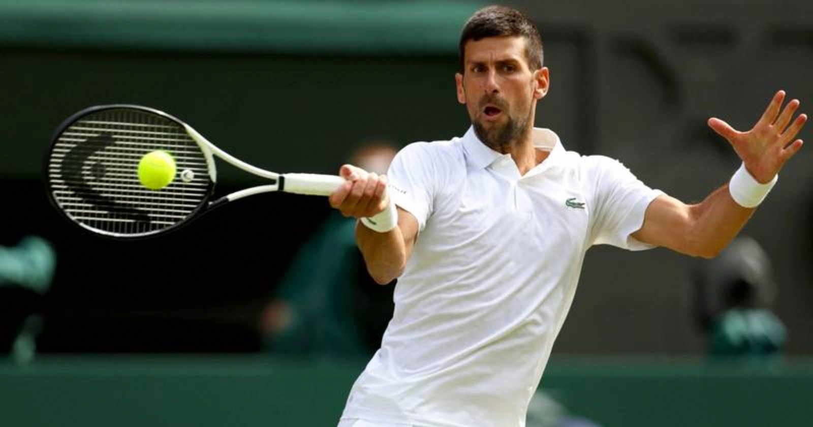 ATP总决赛碾压美网,德约科维奇点燃赛场 ATP总决赛碾压美网,德约科维奇点燃赛场